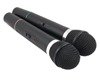 Zestaw karaoke stacja+2 mikrofony